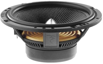 Focal Access 165 CA1 SG