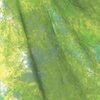 Weifeng W-089