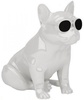 Jarre AeroBull XS1 White