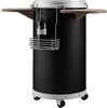 Vestfrost CC 45 BK