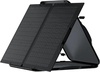 EcoFlow 60W Solar Panel (EFSOLAR60)