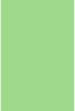 Savage Widetone Mint Green 2.72m x 11m