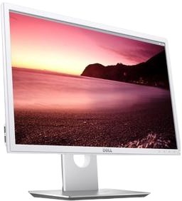 Dell P2217 White (210-AJCV)