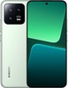 Xiaomi 13 12/256GB Flora Green
