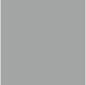 Savage Infinity Vinyl Photo Gray 2,74x6,09m (V70-0920)