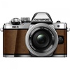 Olympus OM-D E-M10