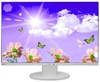 EIZO EV2455-GY