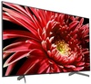 Sony KD-55XG8599