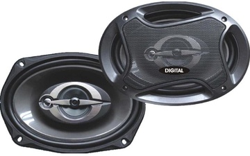 Digital DS-B6933