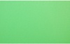 Savage Infinity Vinyl Chroma Green 2.74m x 6.09m