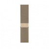 Apple Milanese Loop Gold for Watch 38mm/40mm/41mm/42mm (ML733)
