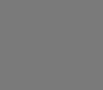 Savage Widetone Thunder Gray 2,72х11m