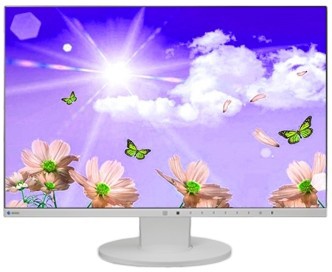 EIZO EV2450-GY