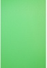 Savage Infinity Vinyl Chroma Green 2.43m x 3.04m