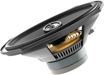 Focal Polyglass 690 CVX