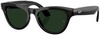 Ray-Ban Meta Skyler Gen 2 Stand.Shiny Black Frame/Clear to Graphite Green Transit.Lenses RW4014 601/1M 52-20