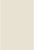 Savage Widetone Light Gray 1.36m x 11m
