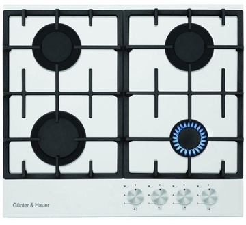 Gunter&Hauer GH 461 GLW