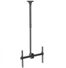 iTech Celb-54L