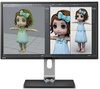 BenQ BL3201PT (9H.LCFLB.QBE)