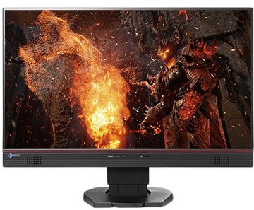 EIZO Foris FS2434