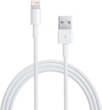 Apple Lightning to USB 2.0 (MD818) OEM