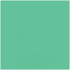 Savage Widetone Mint Green 1,36x11m (40-1253)