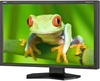 NEC P242W