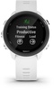 Garmin Forerunner 245 Music White (010-02120-31)