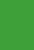 Savage Widetone Tech Green Chromakey 2.18m x 11m