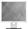 Dell P1917S White (210-AJBW)