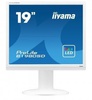 Iiyama B1980SD-W1