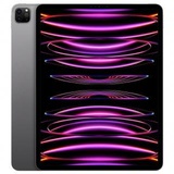 Apple iPad Pro 11 2022 Wi-Fi + Cellular 256GB Space Gray (MP573, MNYE3)