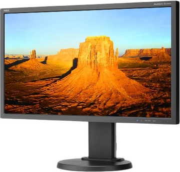 NEC MultiSync E243WMi Black (60003681)