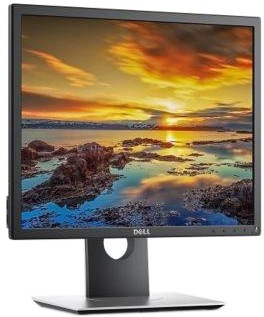 Dell P1917S (210-AJBG)