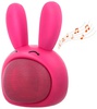 Forever Rabbit Pinky ABS-100 (GSM041672)