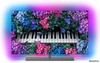 Philips 55OLED935