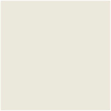Savage Widetone Studio Gray 2,72x11m (12-12)