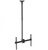 iTech Celb-54L