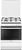 Hansa FCGW63101
