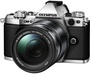 Fujifilm X-S10 body (16670041)