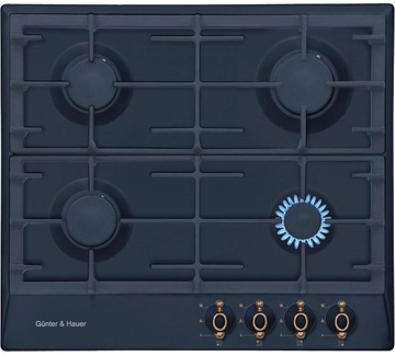 Gunter&Hauer GH 640 ANR