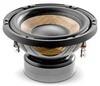 Focal Performance P20F
