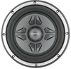 Auditor RIP 250P