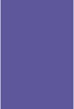 Savage Widetone Purple 2.72m x 11m