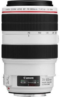 Canon EF 70-300mm f/4-5.6L IS USM(UA)