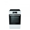 Gorenje EC5341WC