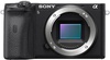 Sony Alpha A6600 body (ILCE6600B.CEC)
