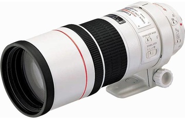 Canon EF 300mm f/4L IS USM(UA)