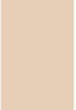 Savage Widetone Egg Nog 2.72m x 11m (17648-02)